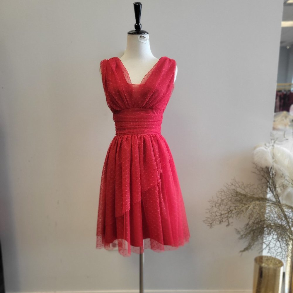 RED MESH MINI FIT AND FLAIR DRESS